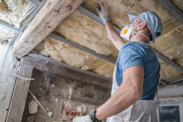 Best Insulation Repair Services  in Hartselle, AL