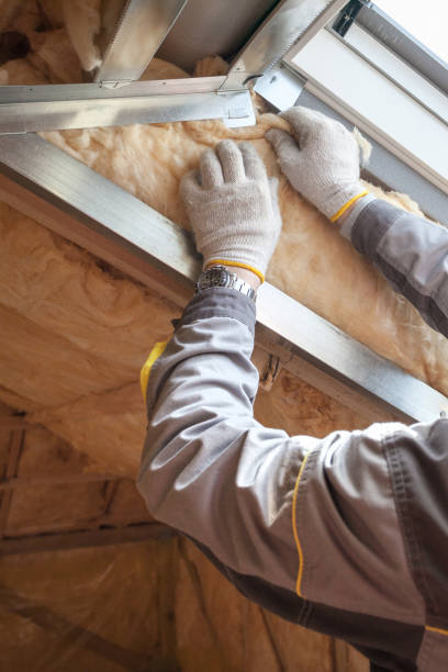 Best Home Insulation Services  in Hartselle, AL