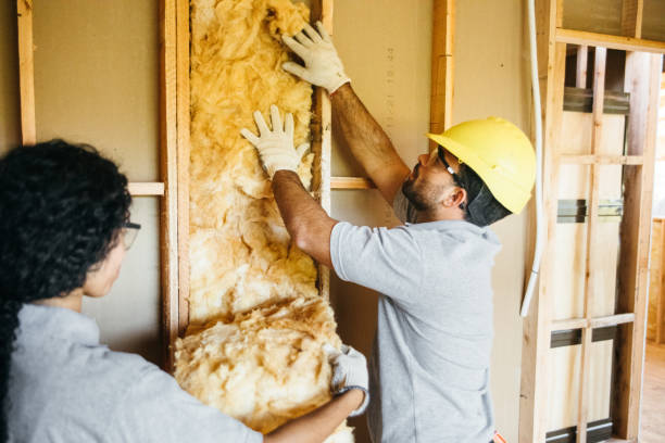Best Fiberglass Insulation  in Hartselle, AL