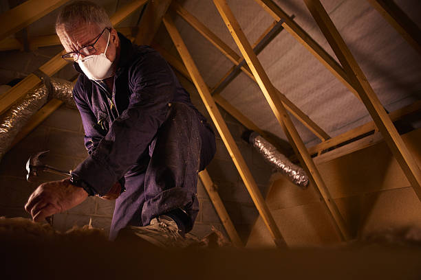 Insulation Replacement Services in Hartselle, AL